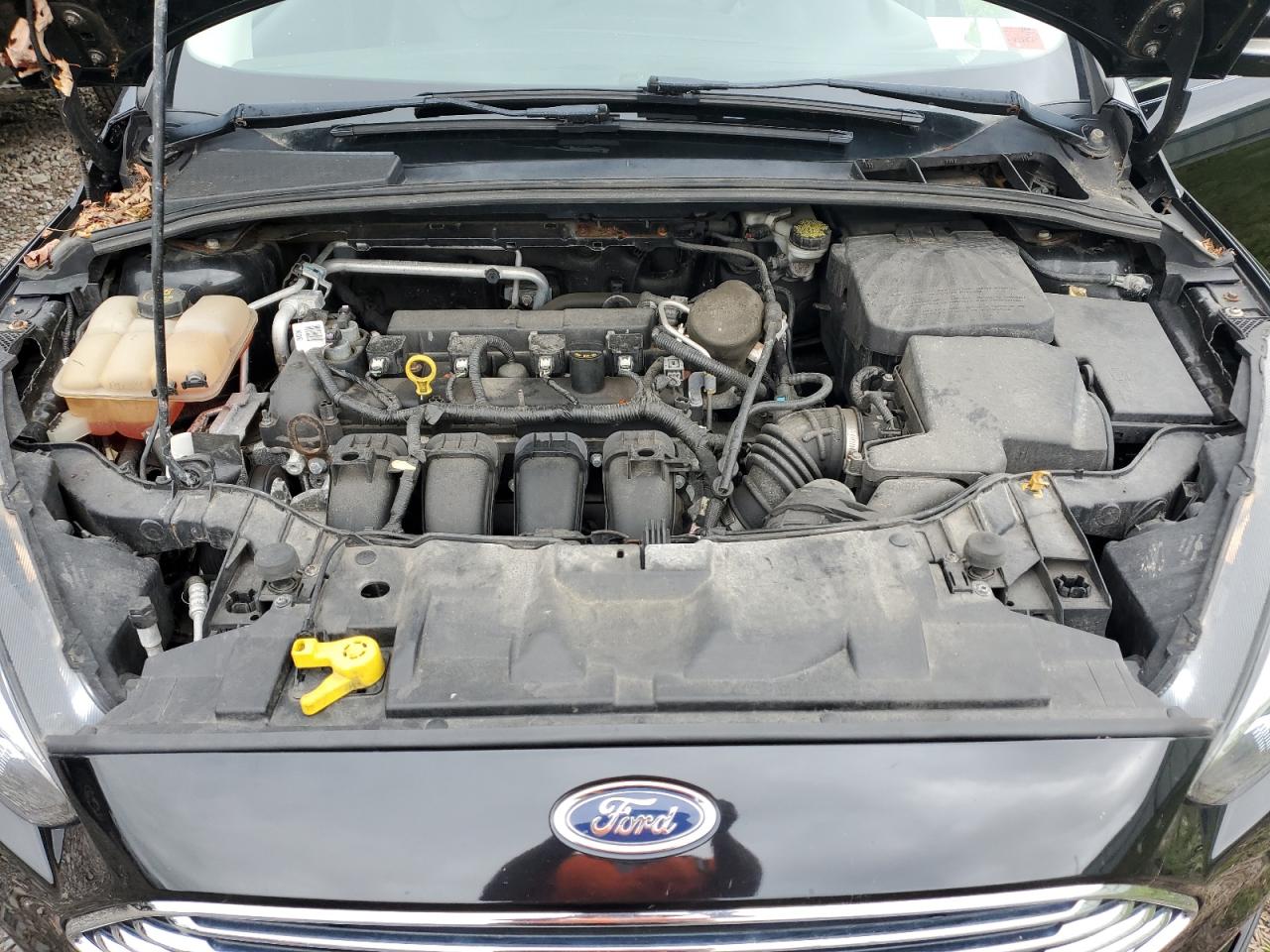 Photo 10 VIN: 1FADP3N24FL226841 - FORD FOCUS 