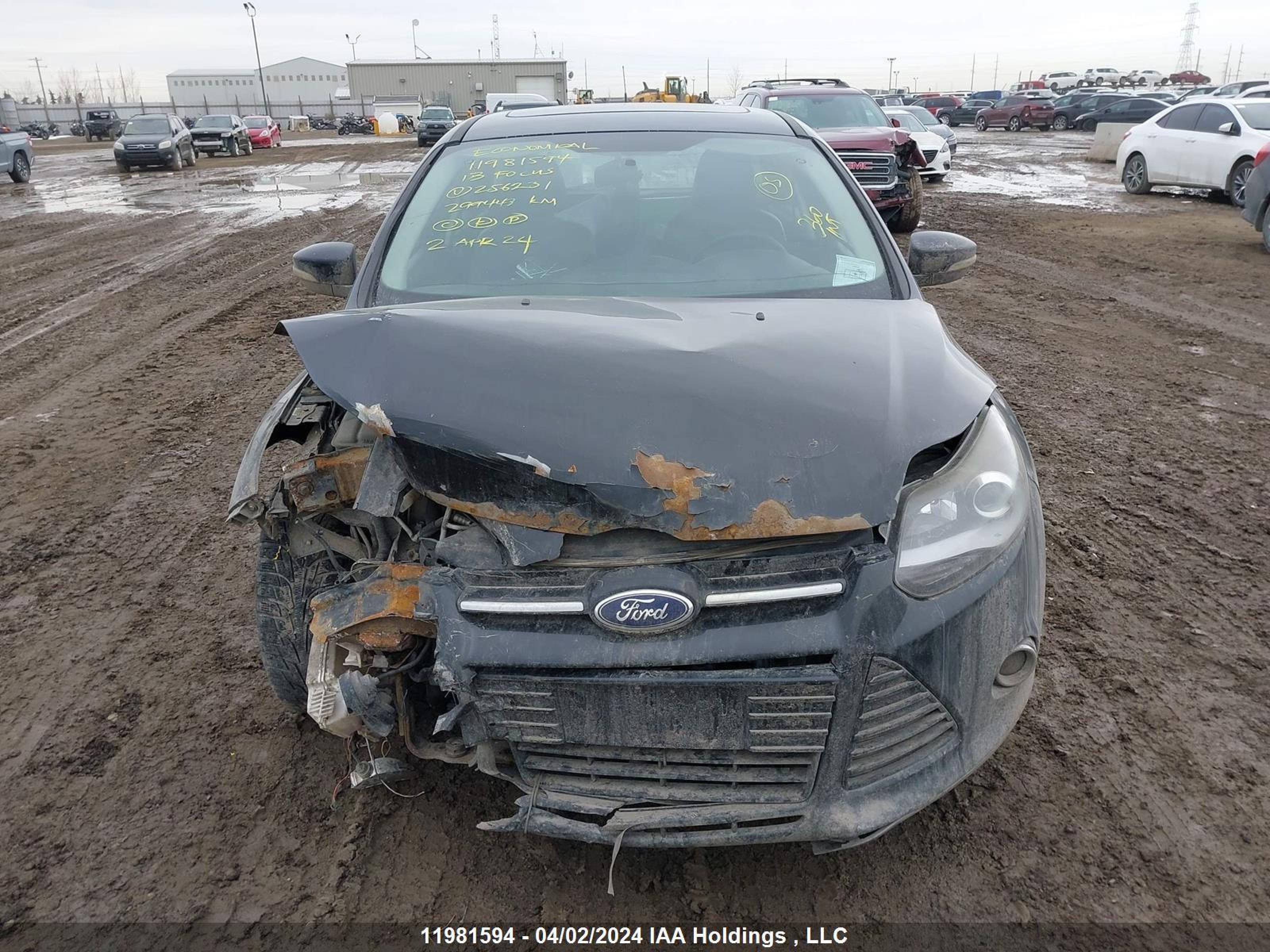 Photo 11 VIN: 1FADP3N2XDL256231 - FORD FOCUS 