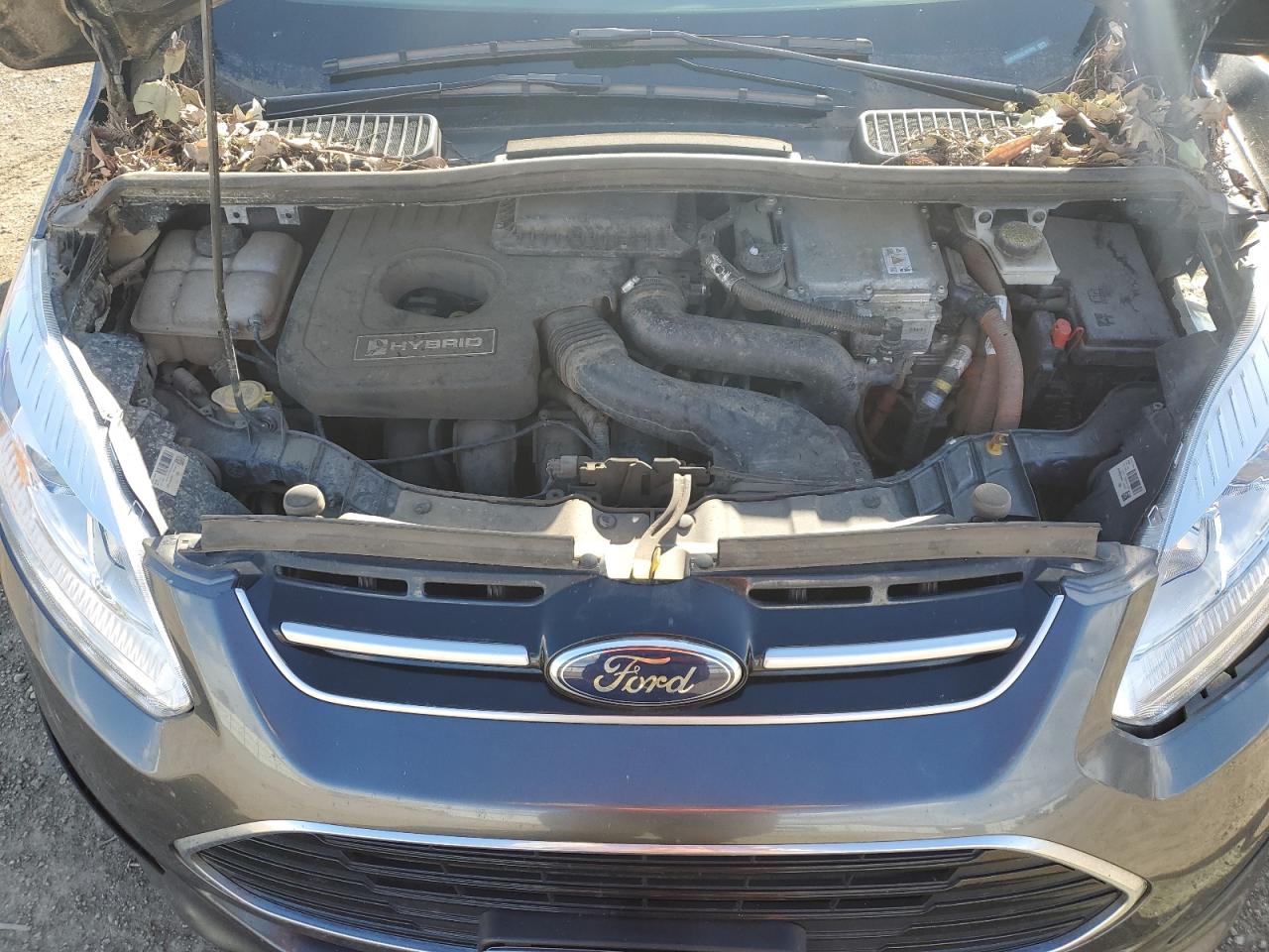 Photo 10 VIN: 1FADP5AU3JL101499 - FORD C-MAX 