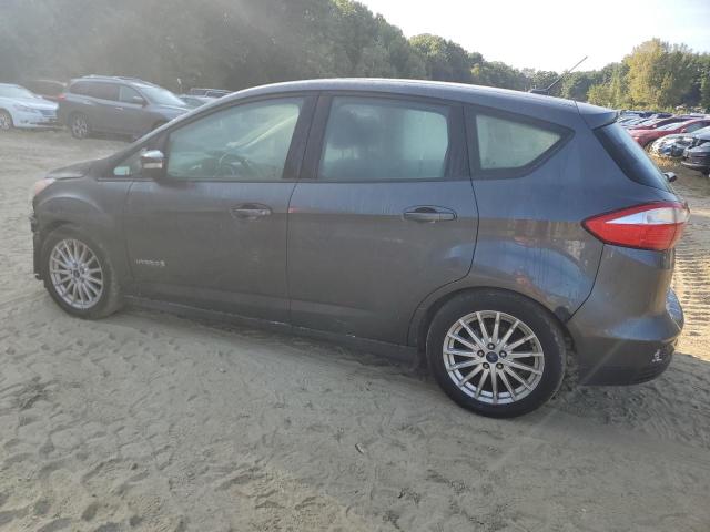 Photo 1 VIN: 1FADP5AU7GL119920 - FORD C-MAX SE 