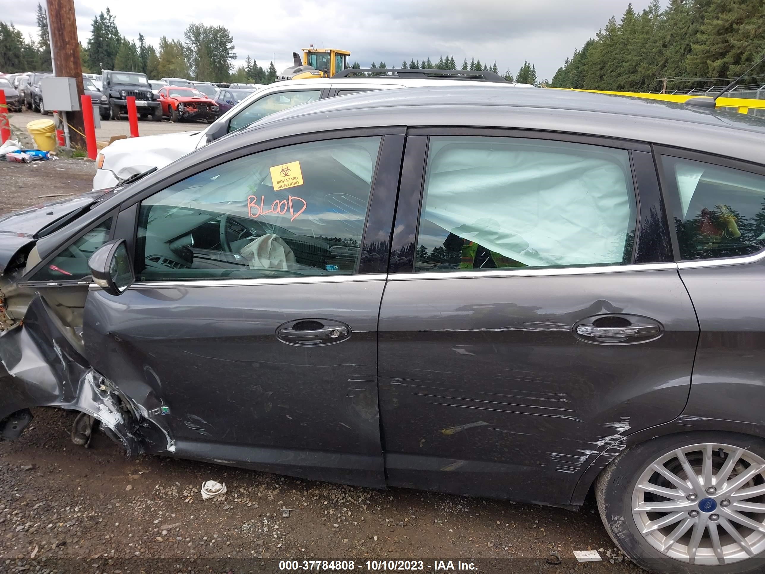 Photo 12 VIN: 1FADP5BU1FL124088 - FORD C-MAX HYBRID 