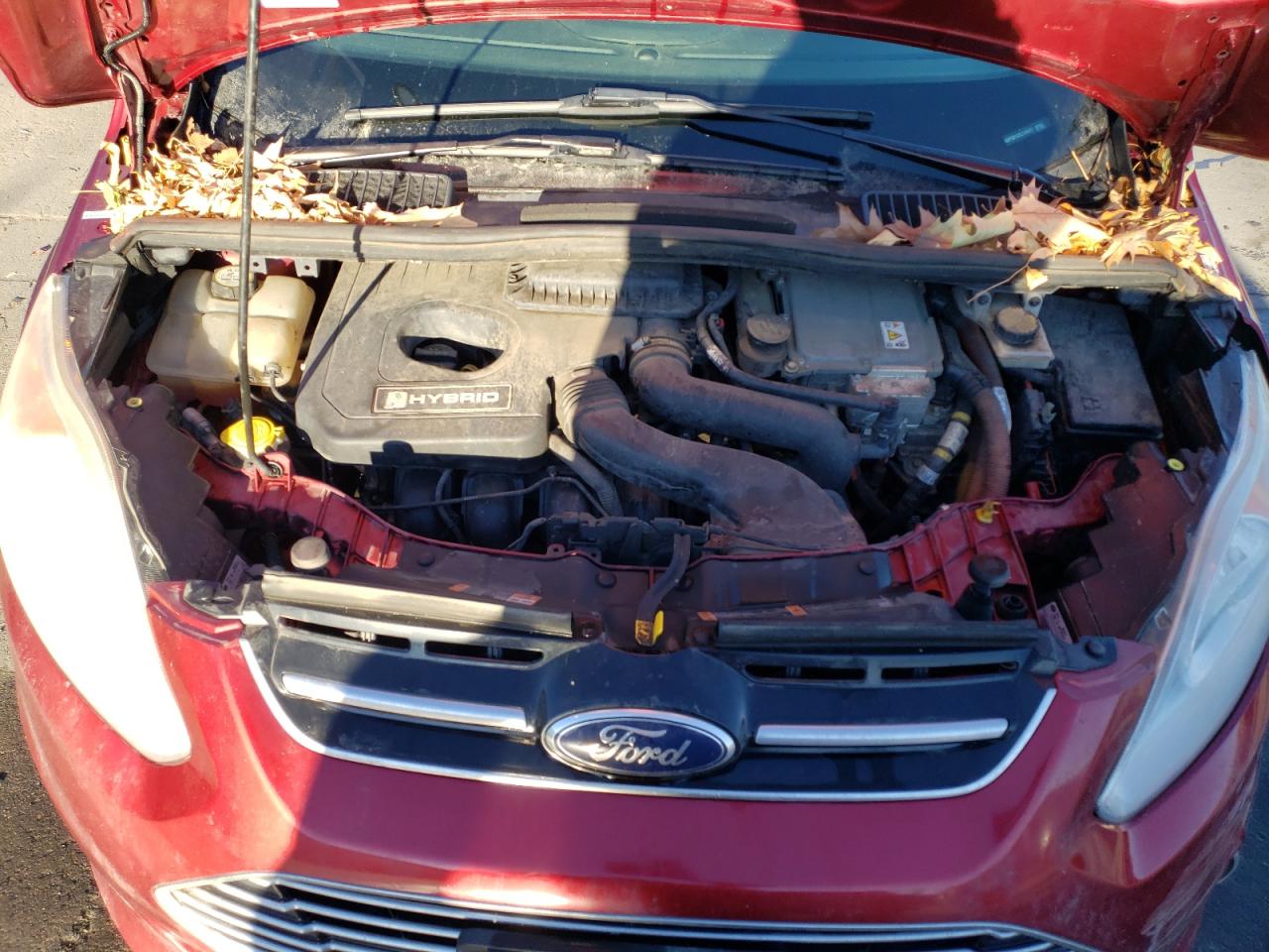 Photo 10 VIN: 1FADP5BU3DL545677 - FORD C-MAX 