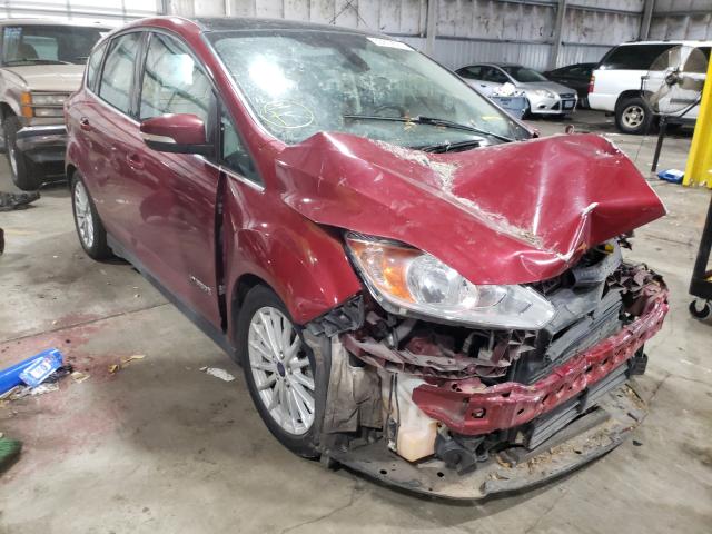 Photo 0 VIN: 1FADP5BUXGL111020 - FORD C-MAX SEL 