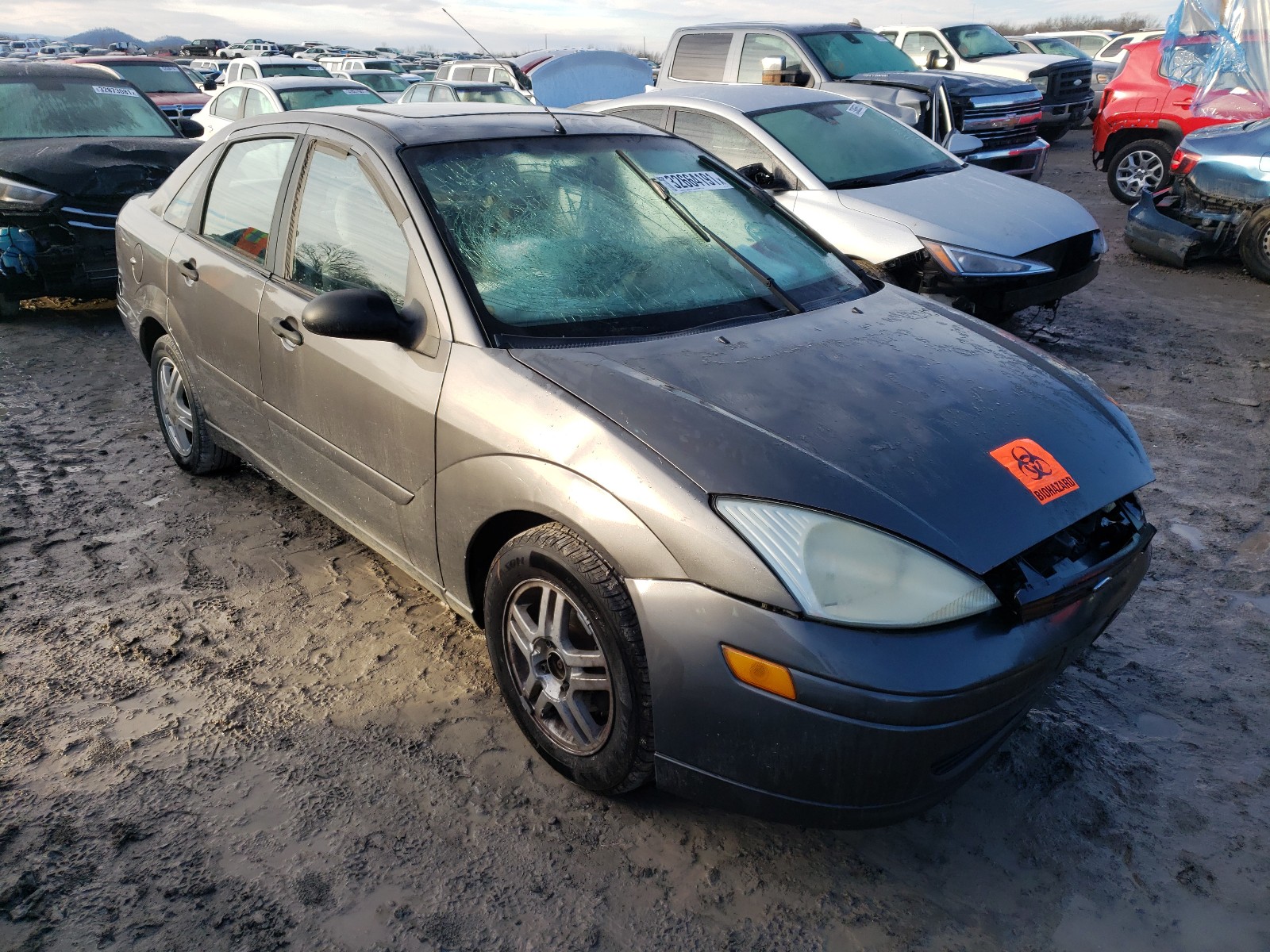 Photo 0 VIN: 1FAFP34393W131558 - FORD FOCUS SE C 