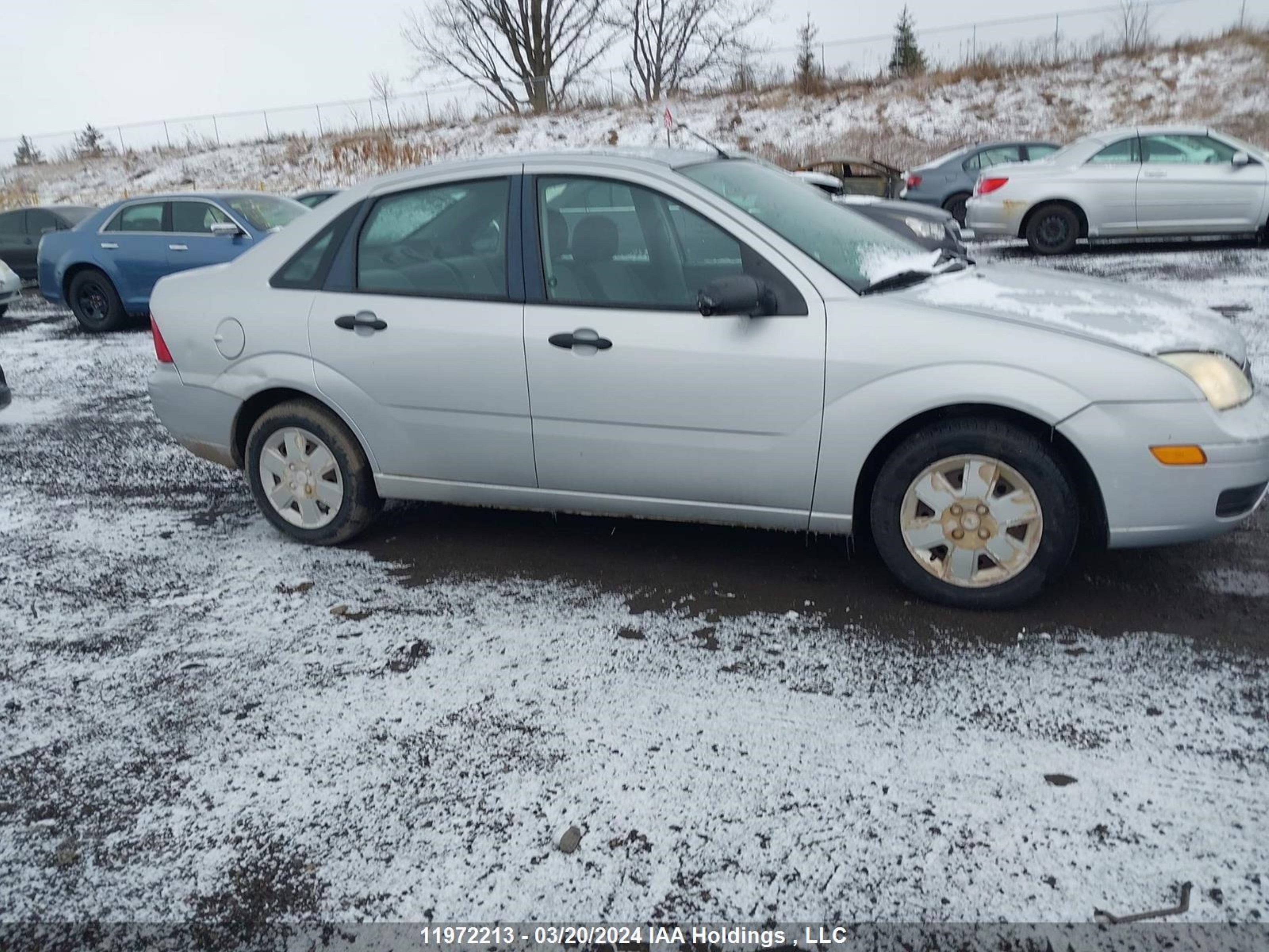 Photo 12 VIN: 1FAFP34N86W145280 - FORD FOCUS 