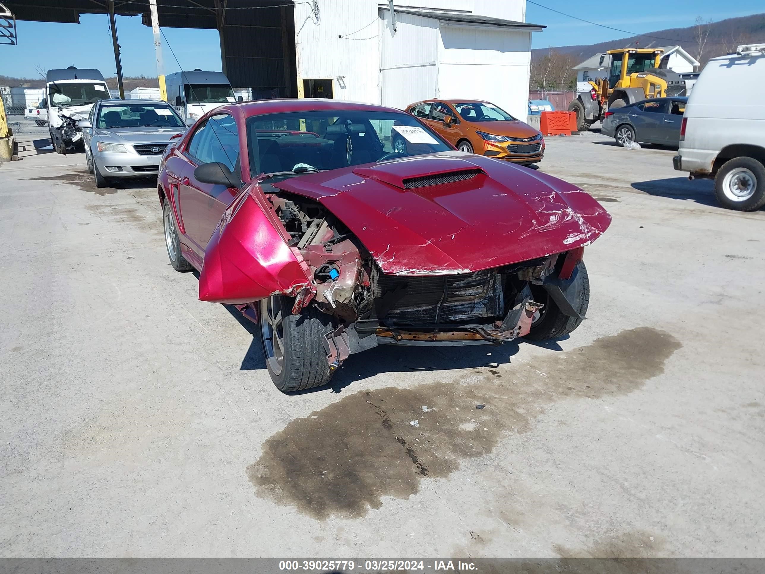 Photo 5 VIN: 1FAFP40403F306557 - FORD MUSTANG 