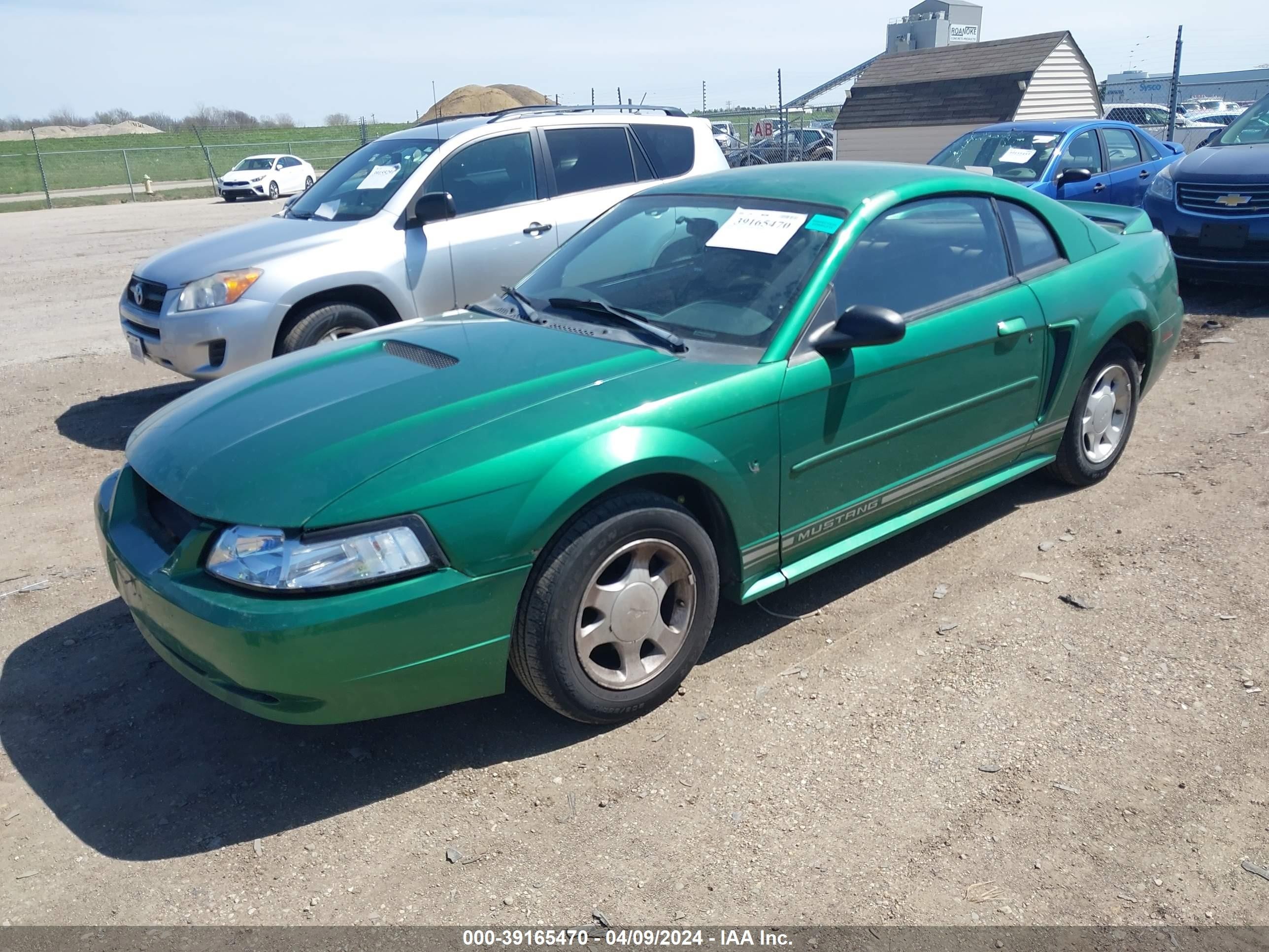 Photo 1 VIN: 1FAFP4049XF196114 - FORD MUSTANG 