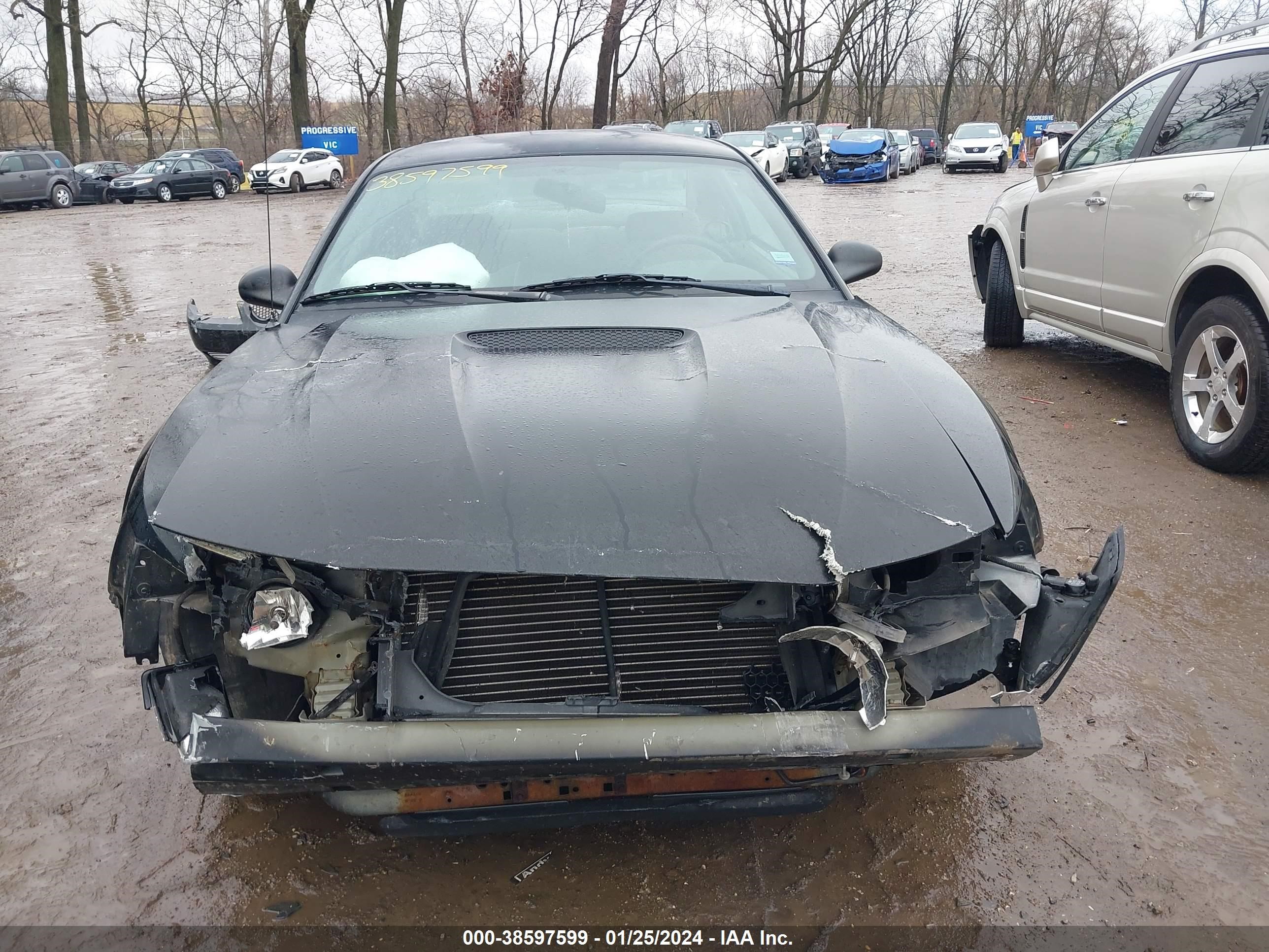 Photo 12 VIN: 1FAFP404XYF263093 - FORD MUSTANG 