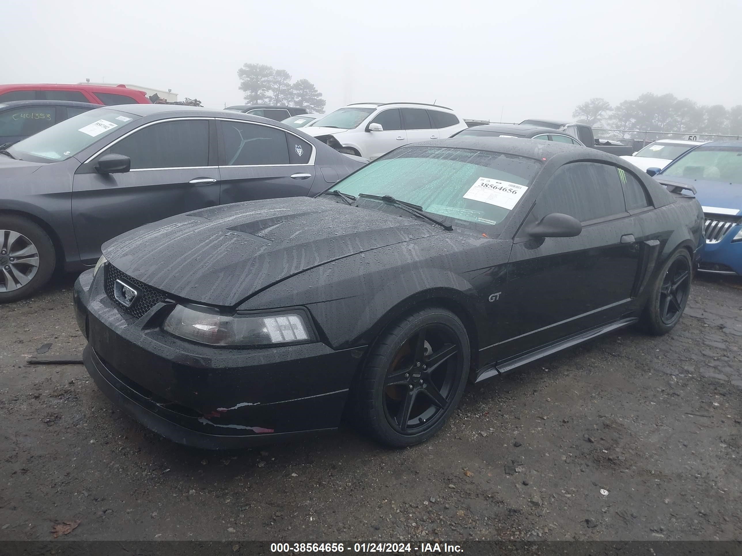 Photo 1 VIN: 1FAFP42X52F129087 - FORD MUSTANG 