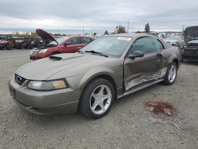 Photo 0 VIN: 1FAFP42X61F255215 - FORD MUSTANG GT 