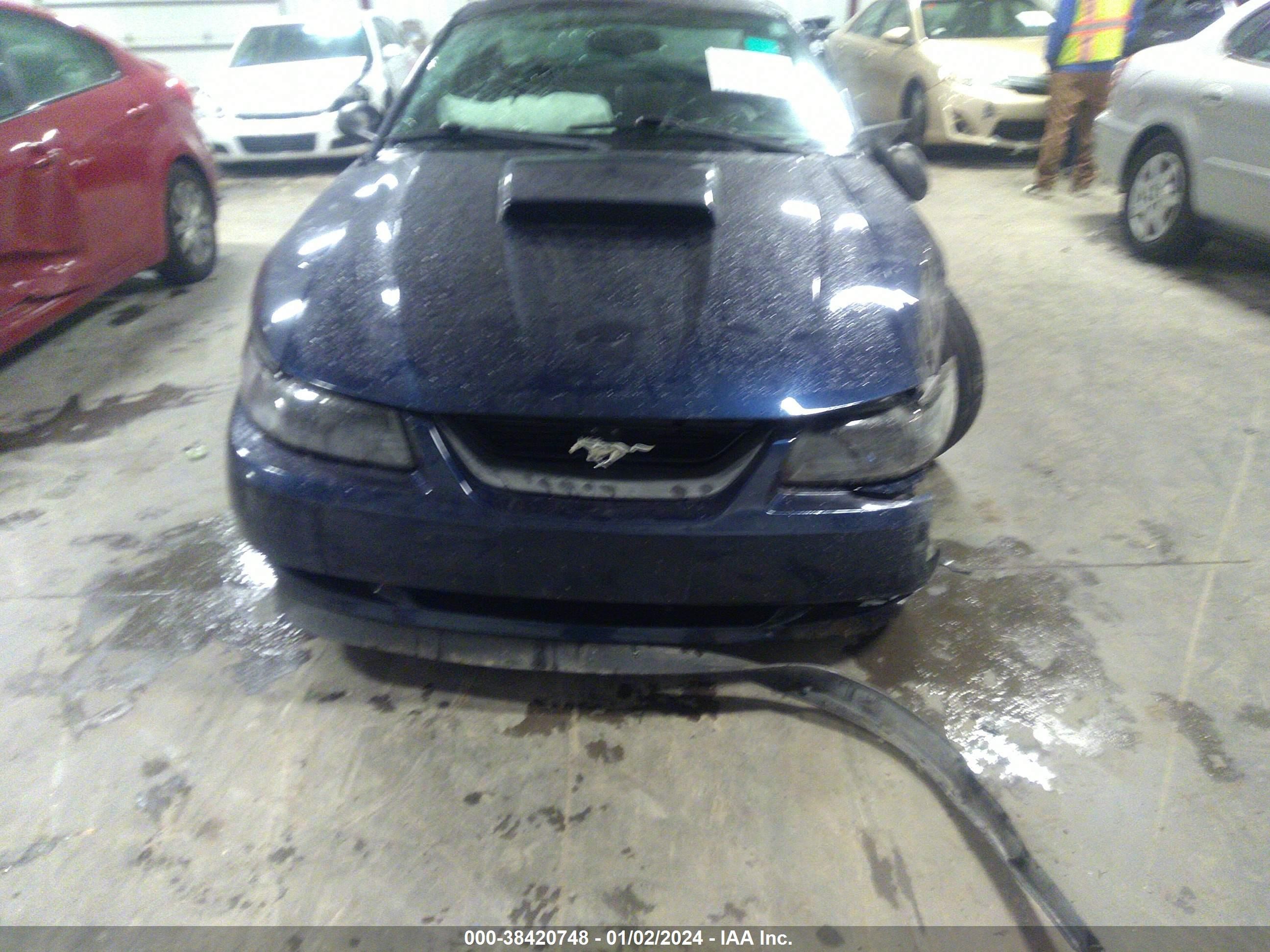 Photo 11 VIN: 1FAFP42X62F209630 - FORD MUSTANG 