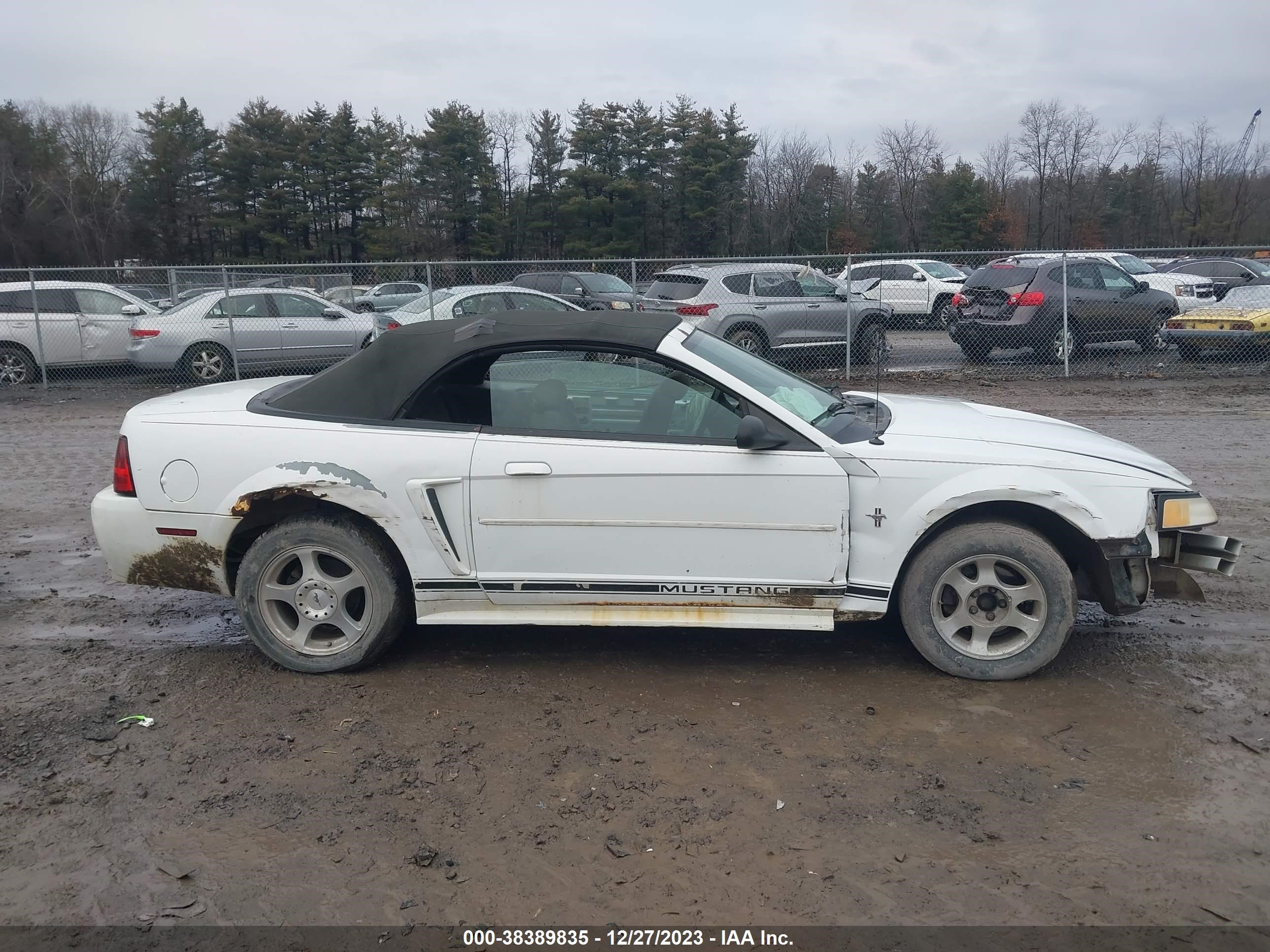 Photo 12 VIN: 1FAFP4441YF250453 - FORD MUSTANG 