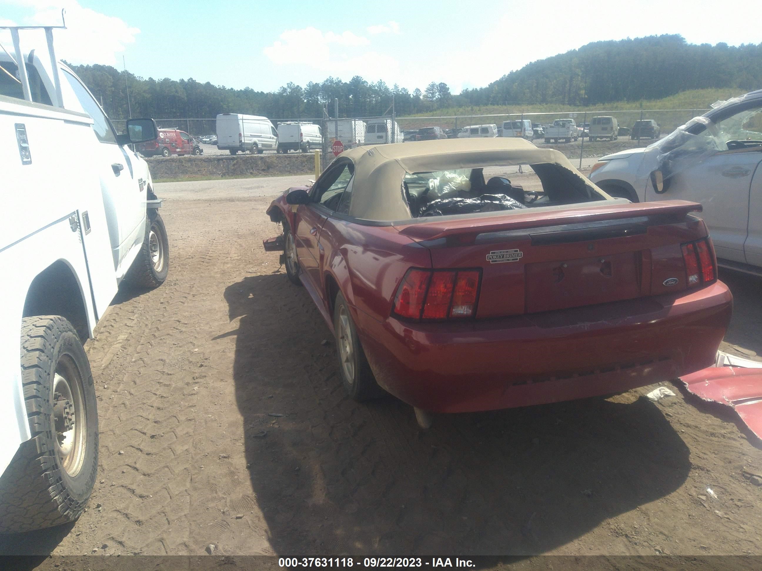 Photo 2 VIN: 1FAFP44463F387011 - FORD MUSTANG 