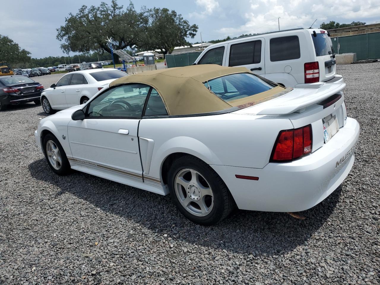 Photo 1 VIN: 1FAFP44624F226805 - FORD MUSTANG 