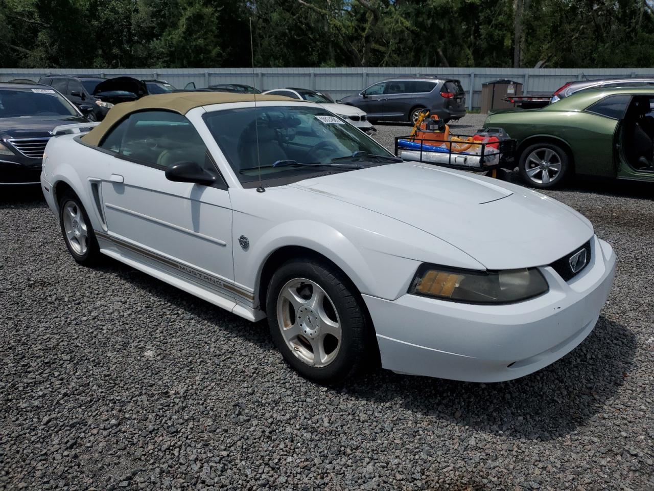 Photo 3 VIN: 1FAFP44624F226805 - FORD MUSTANG 