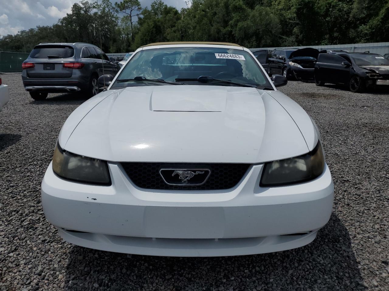 Photo 4 VIN: 1FAFP44624F226805 - FORD MUSTANG 