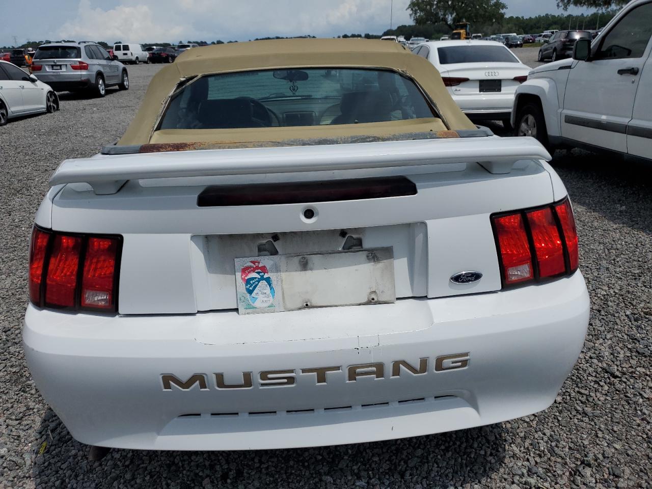 Photo 5 VIN: 1FAFP44624F226805 - FORD MUSTANG 