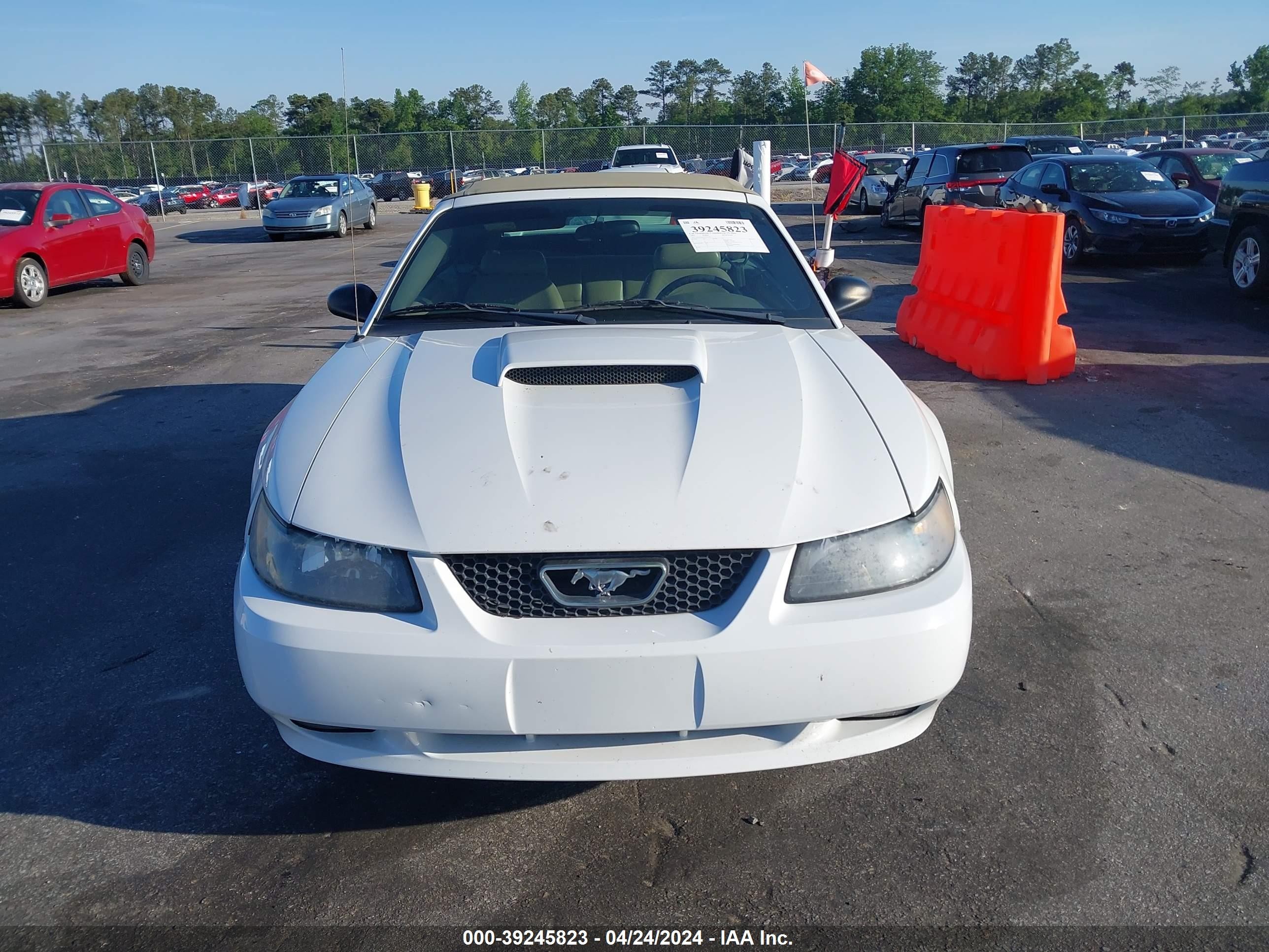 Photo 5 VIN: 1FAFP45X43F305513 - FORD MUSTANG 