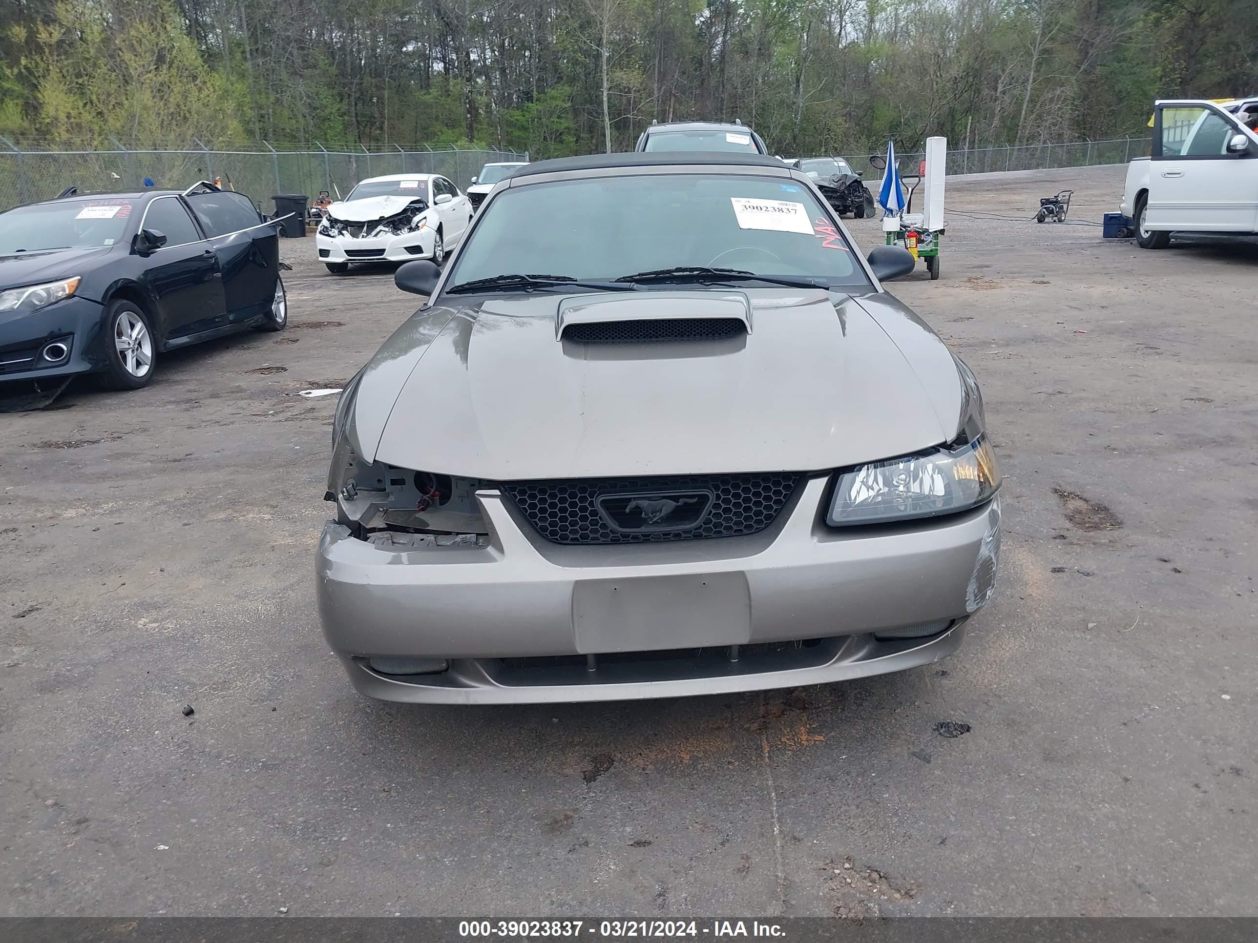 Photo 12 VIN: 1FAFP45X72F209583 - FORD MUSTANG 