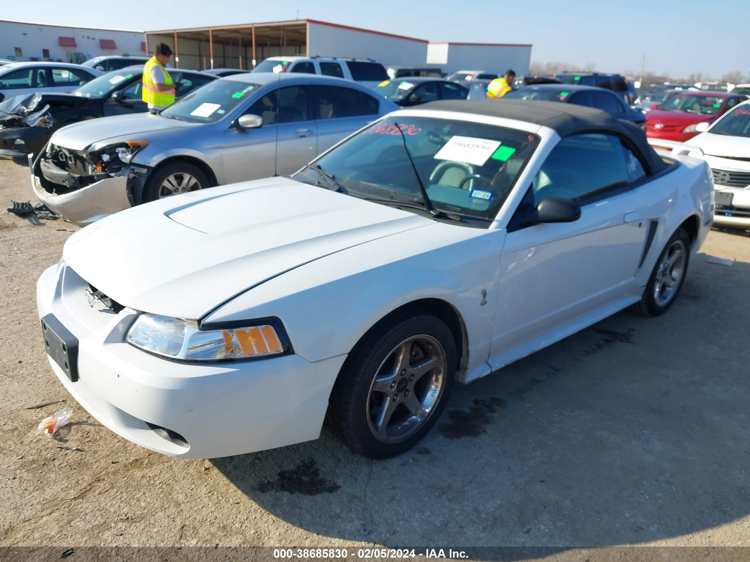 Photo 1 VIN: 1FAFP46V51F199101 - FORD MUSTANG 