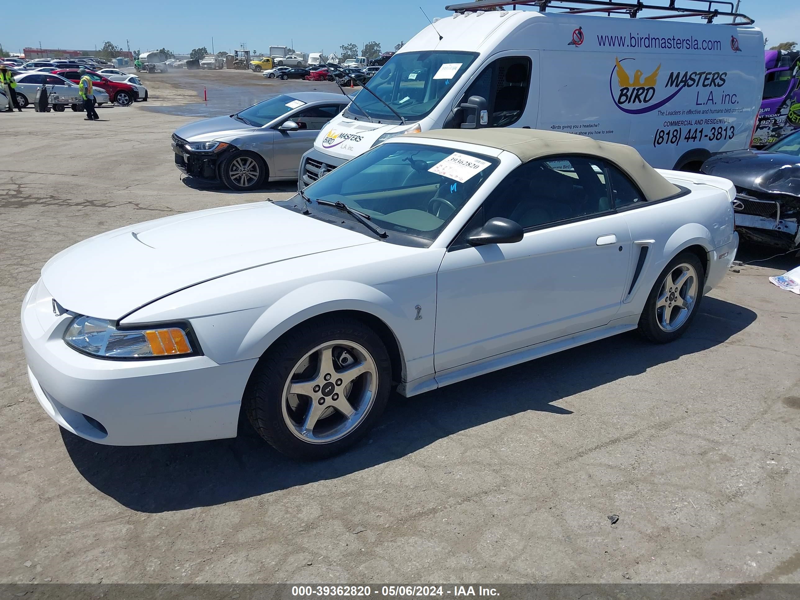 Photo 1 VIN: 1FAFP46V61F226905 - FORD MUSTANG 