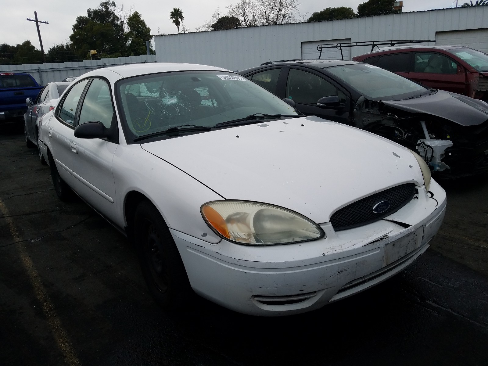 Photo 0 VIN: 1FAFP53U65A160442 - FORD TAURUS SE 