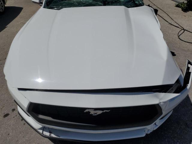 Photo 10 VIN: 1FAGP8UH2R5114841 - FORD MUSTANG 