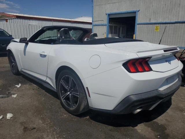 Photo 1 VIN: 1FAGP8UH2R5127525 - FORD MUSTANG 