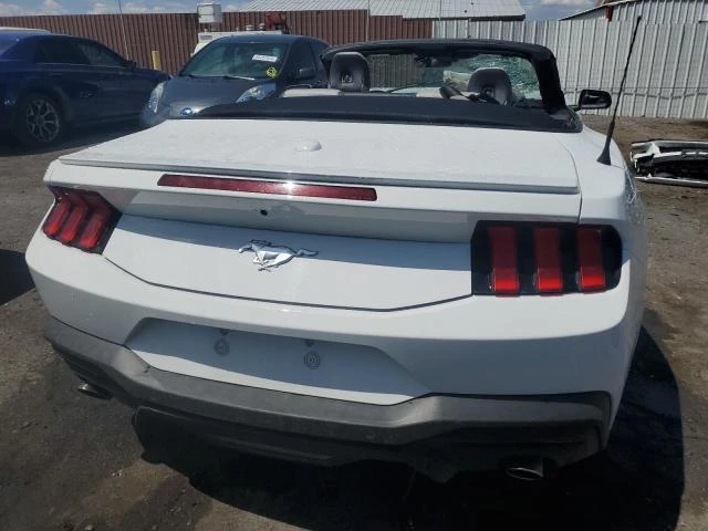 Photo 5 VIN: 1FAGP8UH2R5127525 - FORD MUSTANG 