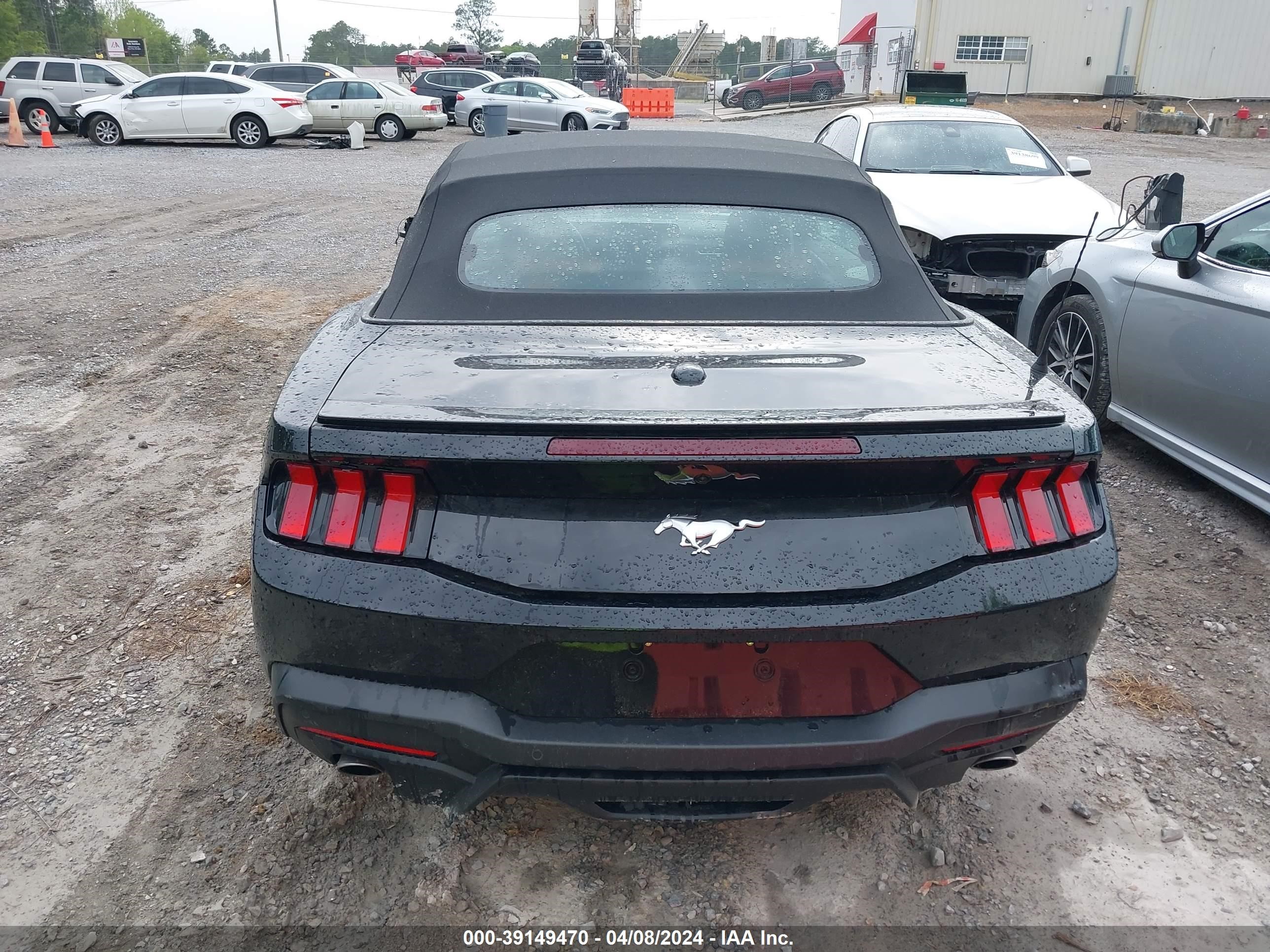 Photo 16 VIN: 1FAGP8UH7R5120005 - FORD MUSTANG 