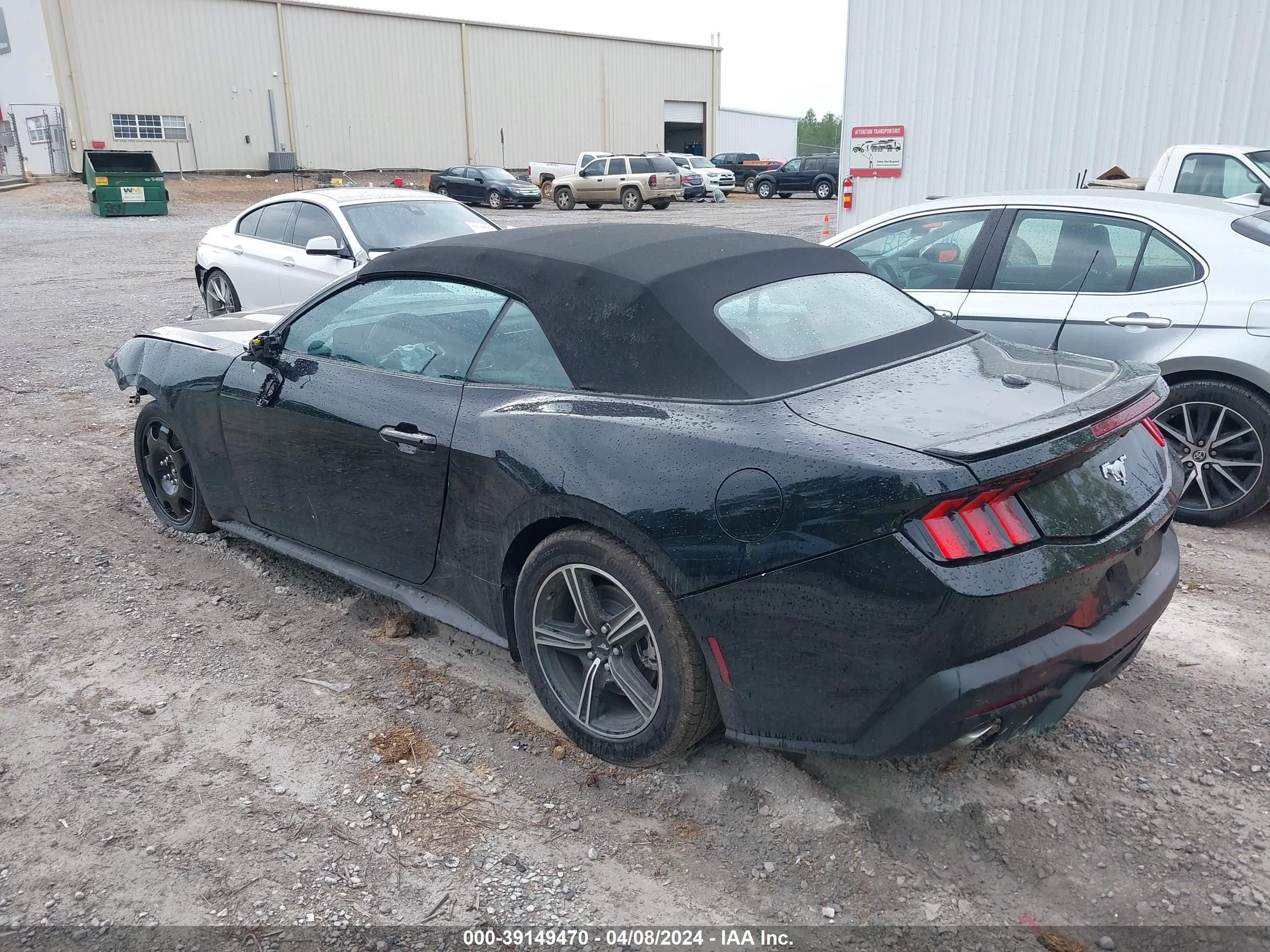 Photo 2 VIN: 1FAGP8UH7R5120005 - FORD MUSTANG 