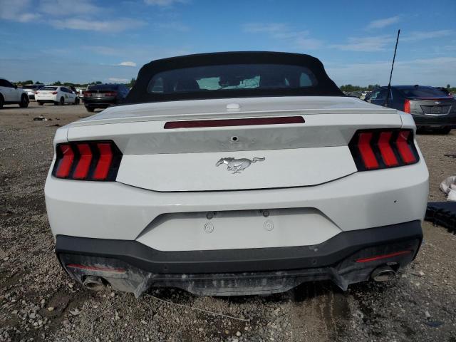 Photo 5 VIN: 1FAGP8UH8R5120451 - FORD MUSTANG 