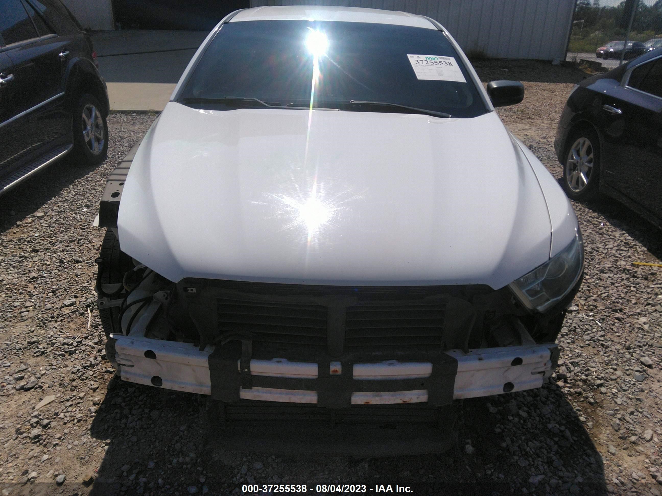 Photo 12 VIN: 1FAHP2D80EG115776 - FORD TAURUS 