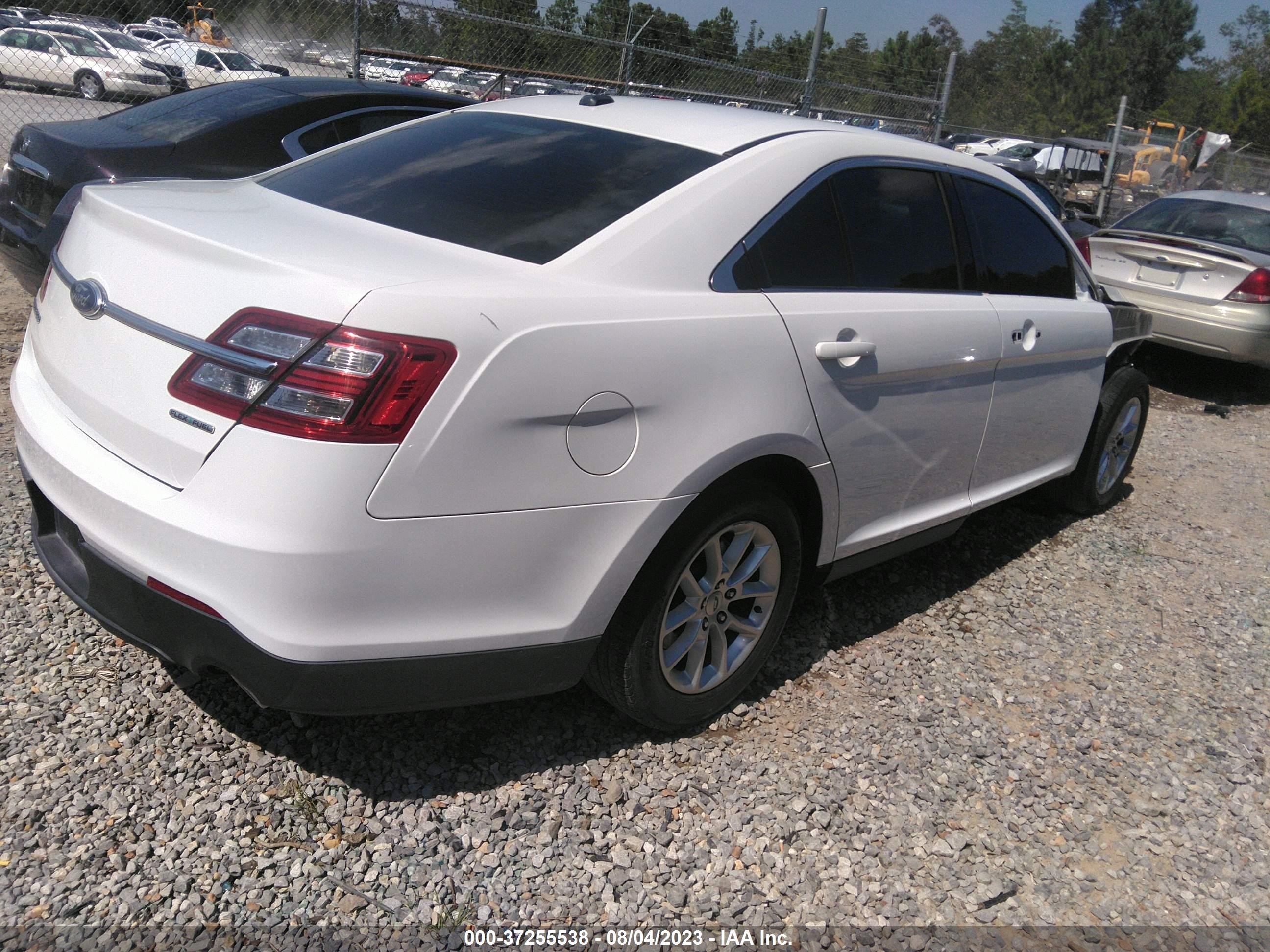 Photo 3 VIN: 1FAHP2D80EG115776 - FORD TAURUS 