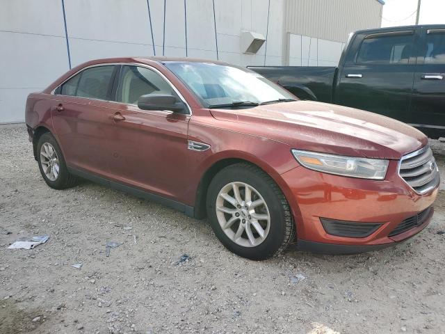 Photo 3 VIN: 1FAHP2D81EG138337 - FORD TAURUS 