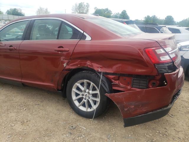 Photo 8 VIN: 1FAHP2D82EG164512 - FORD TAURUS SE 