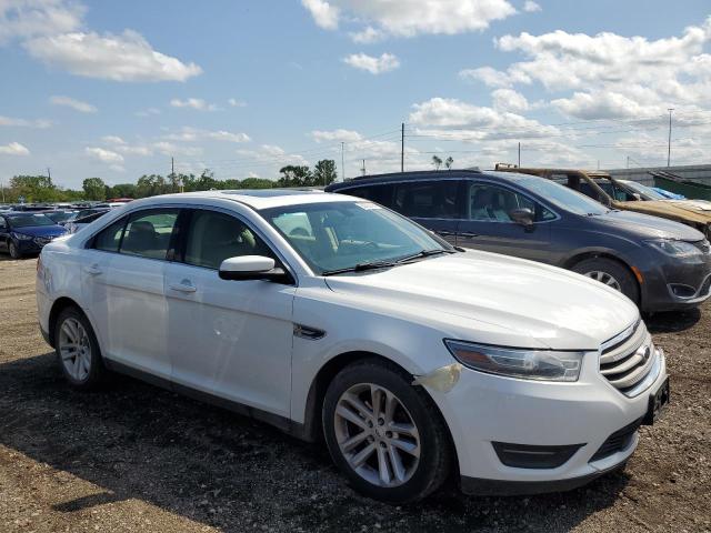 Photo 3 VIN: 1FAHP2E80DG142649 - FORD TAURUS 