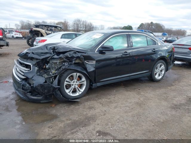 Photo 1 VIN: 1FAHP2E80DG168488 - FORD TAURUS 