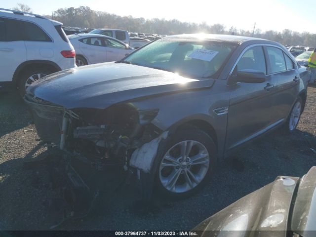 Photo 1 VIN: 1FAHP2E80EG130499 - FORD TAURUS 