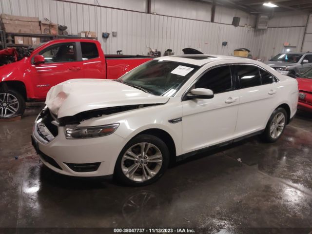 Photo 1 VIN: 1FAHP2E80GG149217 - FORD TAURUS 