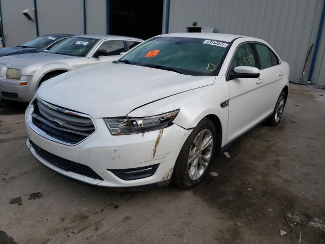 Photo 1 VIN: 1FAHP2E81DG200803 - FORD TAURUS SEL 