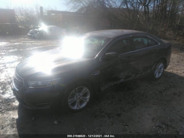 Photo 1 VIN: 1FAHP2E81FG123871 - FORD TAURUS 