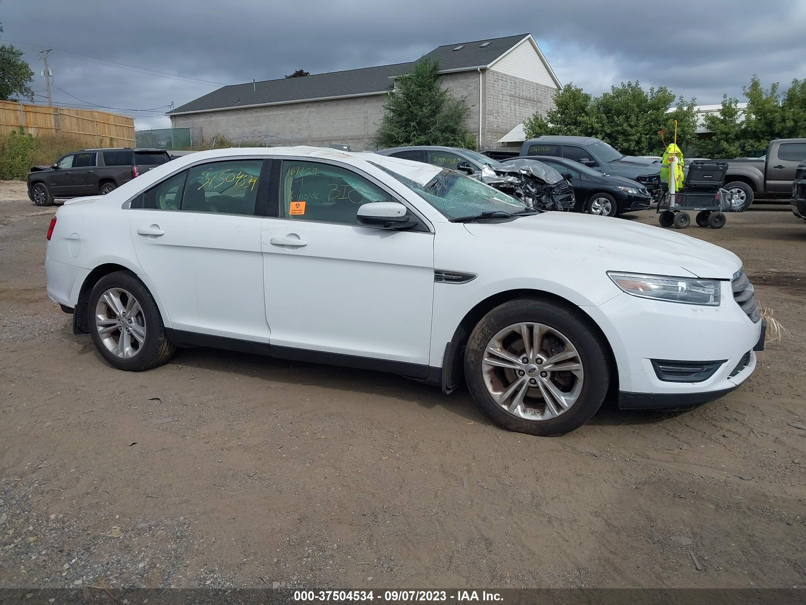 Photo 12 VIN: 1FAHP2E82DG152292 - FORD TAURUS 