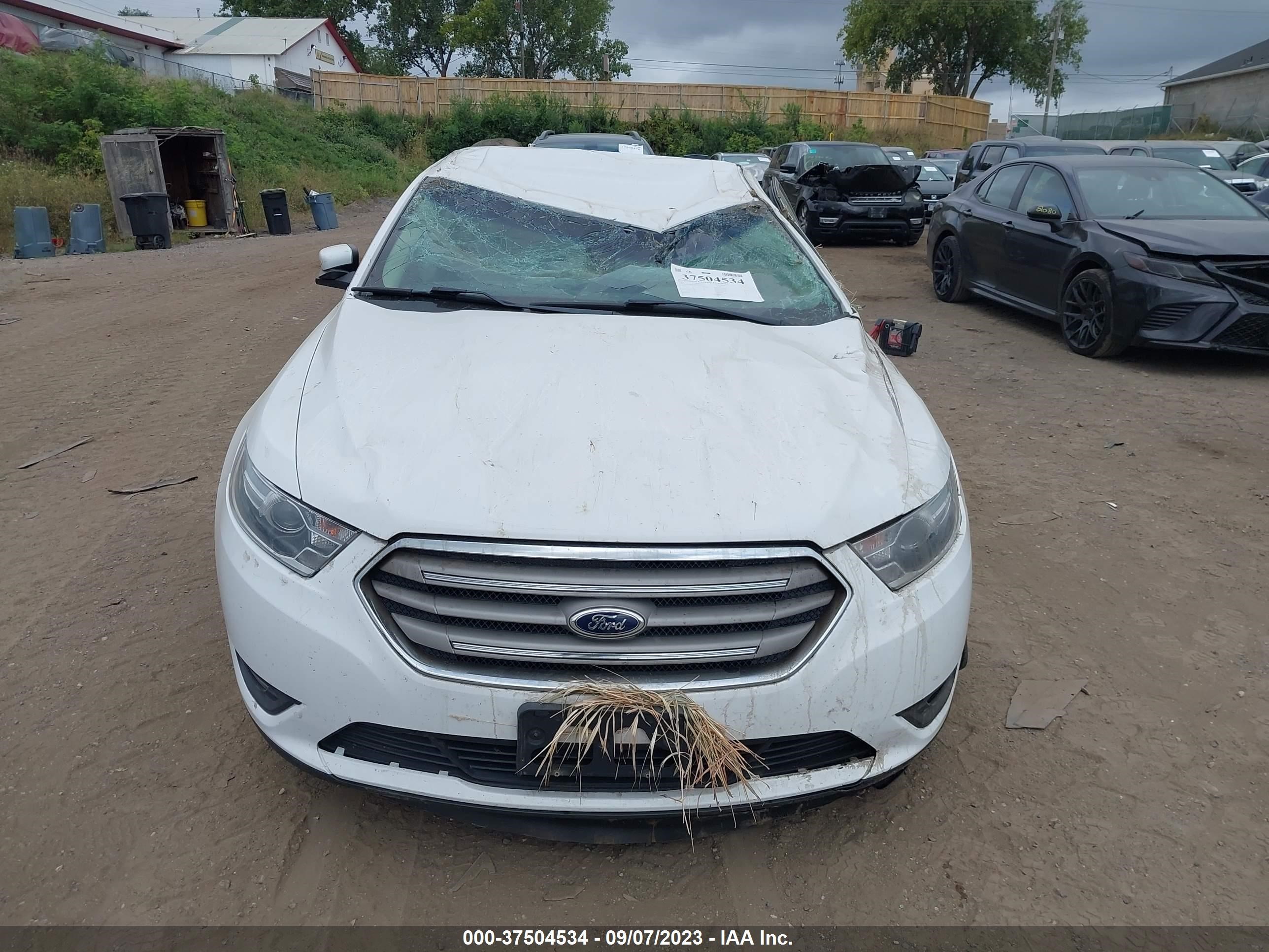 Photo 5 VIN: 1FAHP2E82DG152292 - FORD TAURUS 