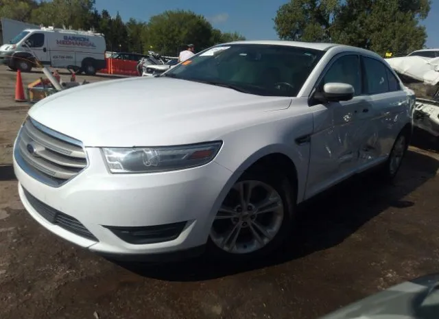 Photo 1 VIN: 1FAHP2E82DG187981 - FORD TAURUS 