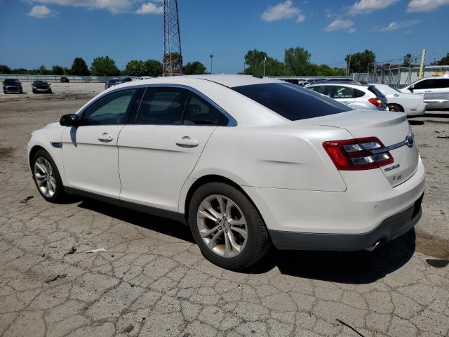 Photo 1 VIN: 1FAHP2E83DG223354 - FORD TAURUS 