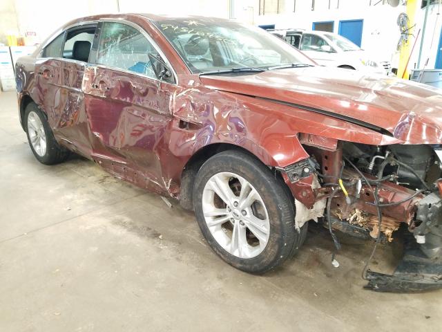 Photo 8 VIN: 1FAHP2E83FG131809 - FORD TAURUS SEL 