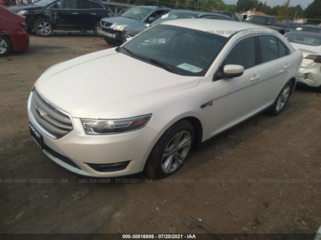 Photo 1 VIN: 1FAHP2E83GG153620 - FORD TAURUS 