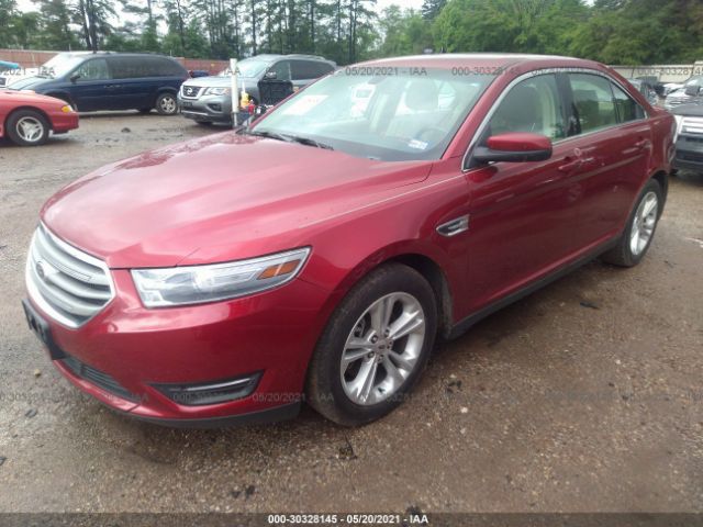 Photo 1 VIN: 1FAHP2E84DG209575 - FORD TAURUS 