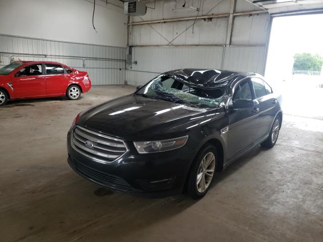 Photo 8 VIN: 1FAHP2E85FG177318 - FORD TAURUS SEL 